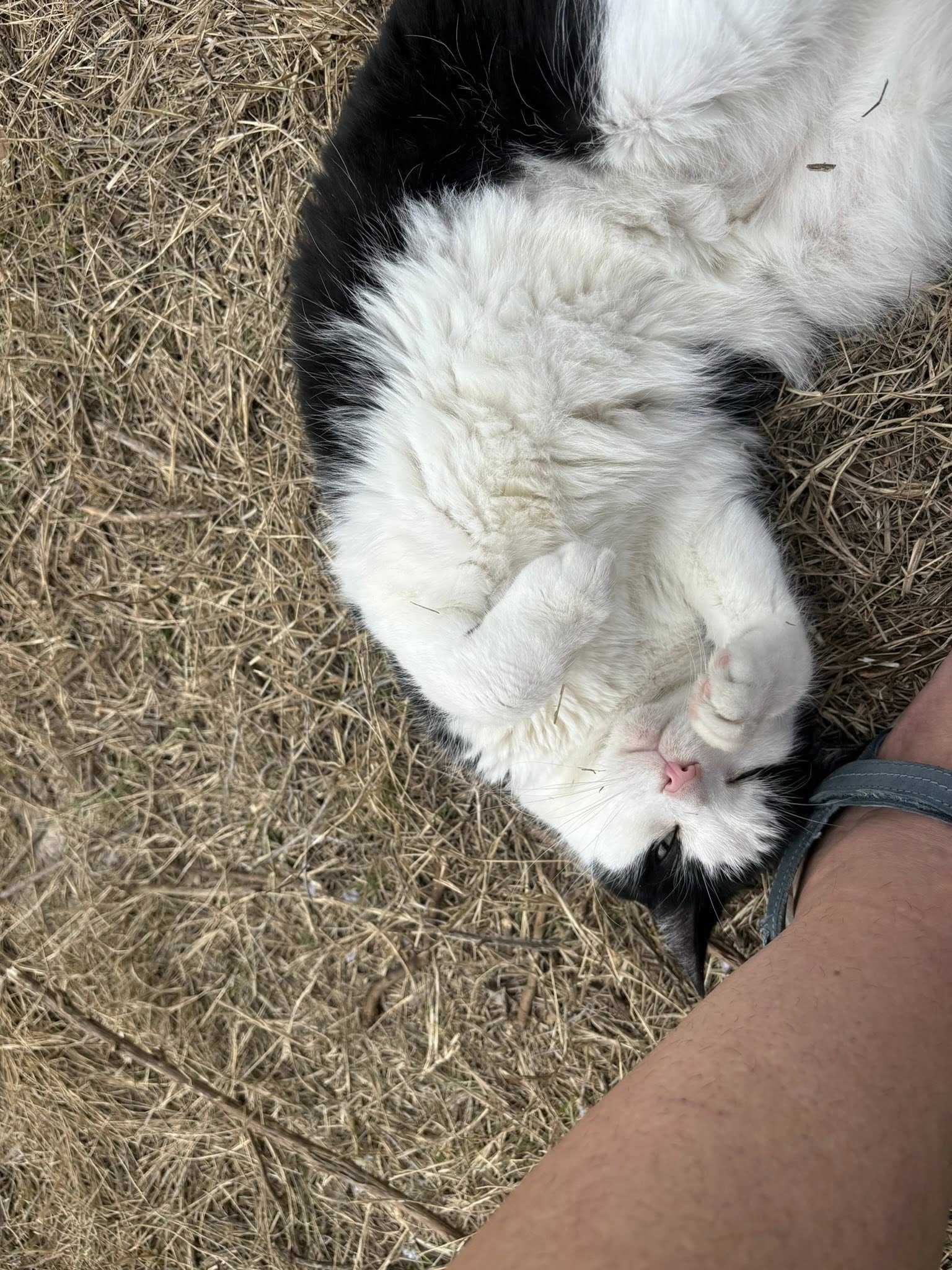 578783478_10161470503326008_7875426444349916707_n