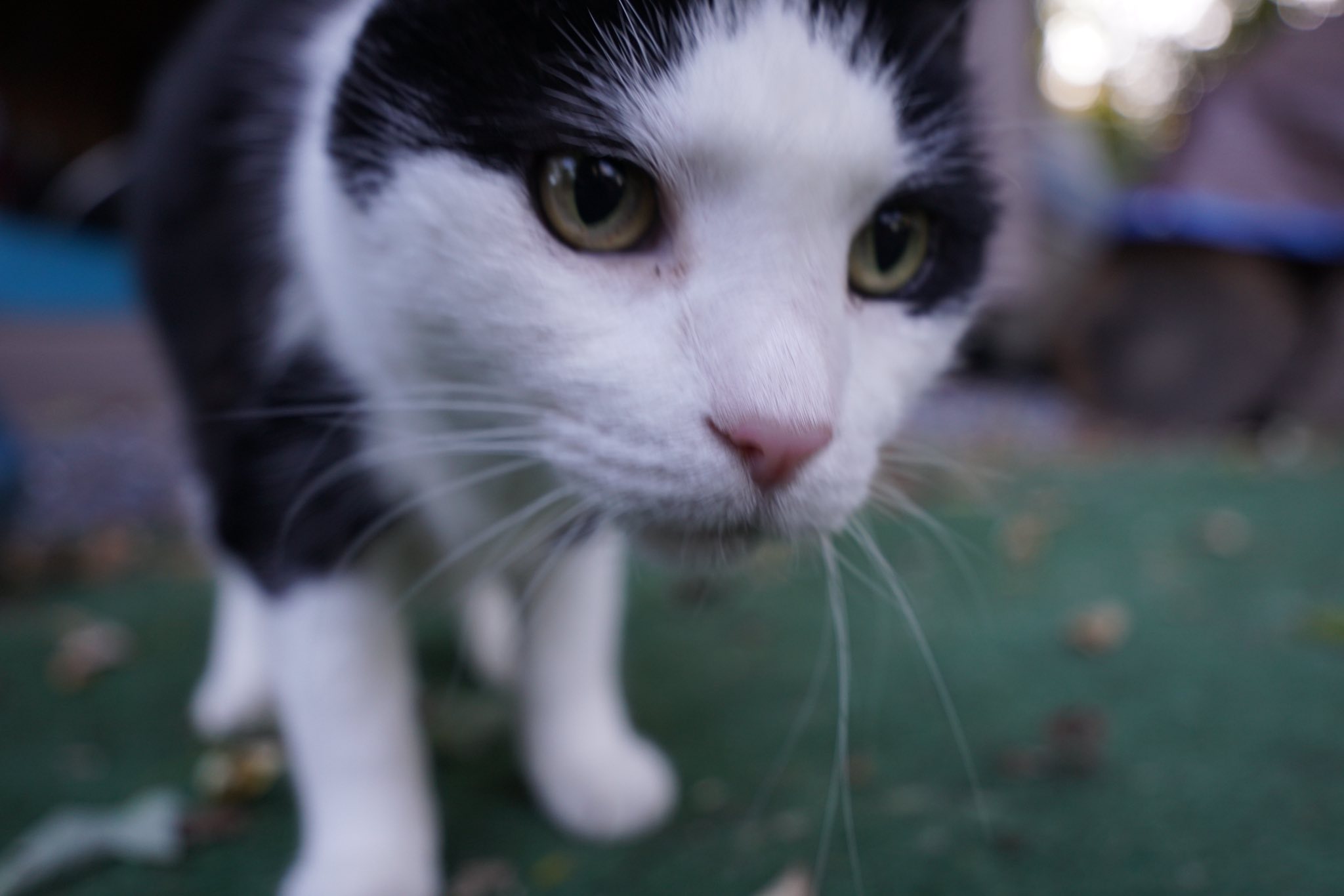 578906972_10161470588241008_5611464804363384091_n