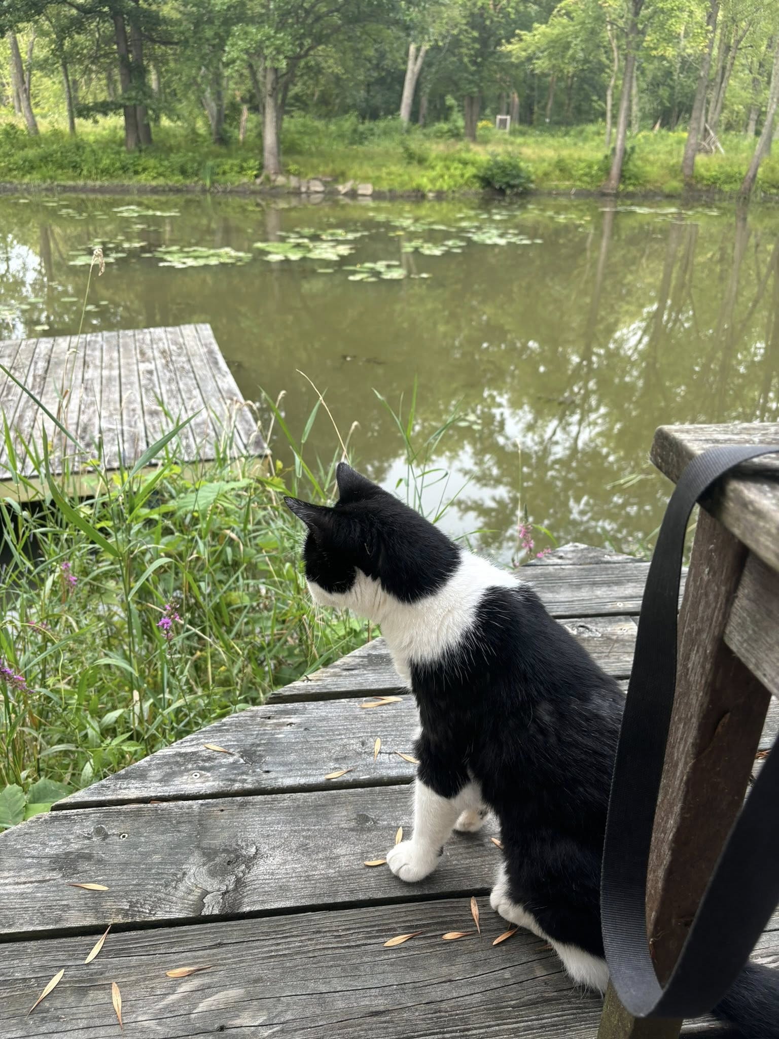 584771896_10161500114831008_1931558891126274085_n